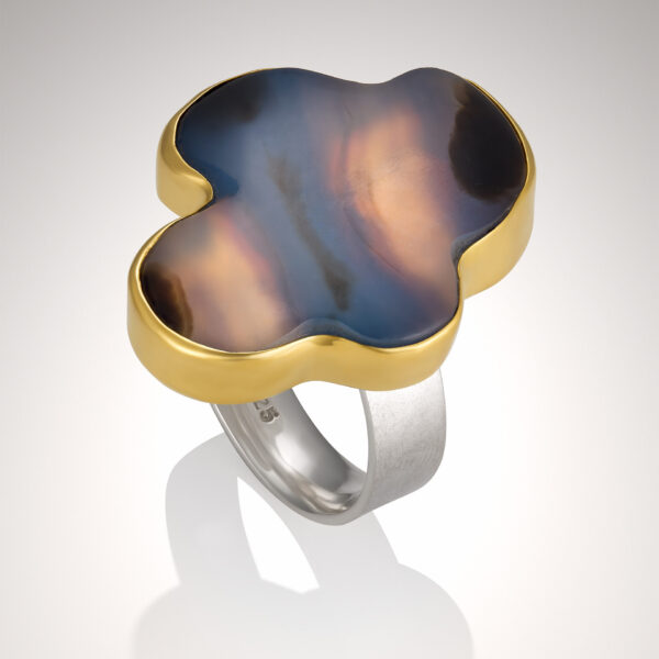 22KY and SS Amoeba Agate Ring